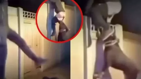 VIDEO VIRAL: Ladrón queda sin ropa interior tras intento de robo frustrado por un rottweiler