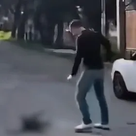Perrito es atropellado en Milpa Alta, CDMX; testigos reclaman por no auxiliarlo