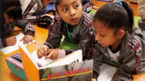 Lista completa de alimentos prohibidos en las escuelas de México