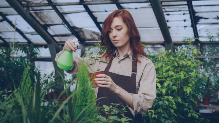 plantas.png