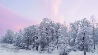 ¿Cuál es la probabilidad para la caída de nieve en Aguascalientes en 2025 Lo que dice la IA