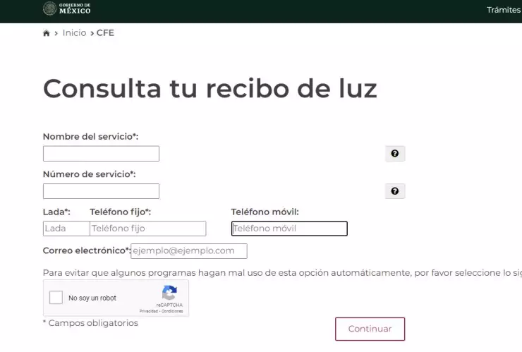 Consulta tu recibo de la luz sin registrarte