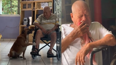Abuelito llora por perro fallecido.