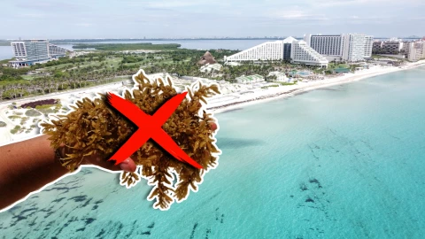 Playas sin sargazo en Quintana Roo hoy 6 de octubre de 2025_ playas limpias en Cancún, Tulum, Playa del Carmen y Cozumel.jpg