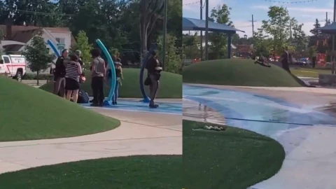 Tiroteo en Michigan dentro de un parque acuático deja a 9 personas heridas