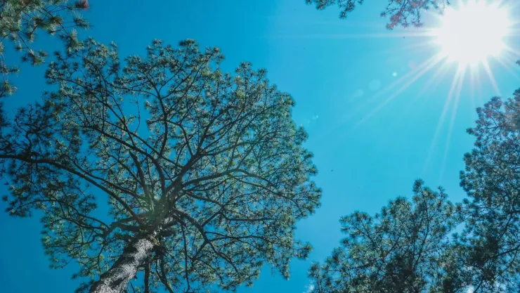 Alcaldías más calurosas de la CDMX: consula cuáles registran las temperaturas más altas