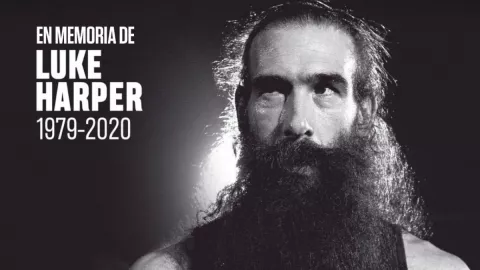 Diseño sin título (38).jpg