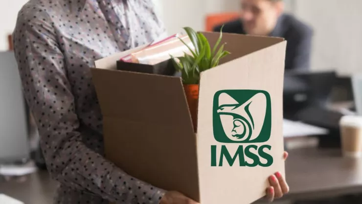 Este es el ‘tiempo de gracia’ que otorga el IMSS ante un despido o renuncia