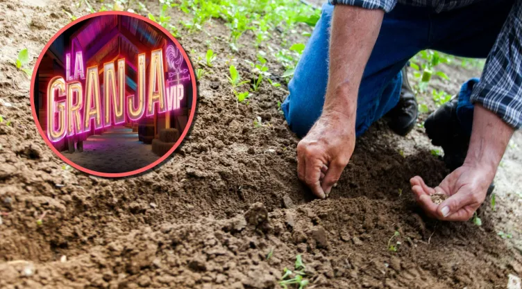 TRABAJOS PESADOS GRANJA VIP.jpg