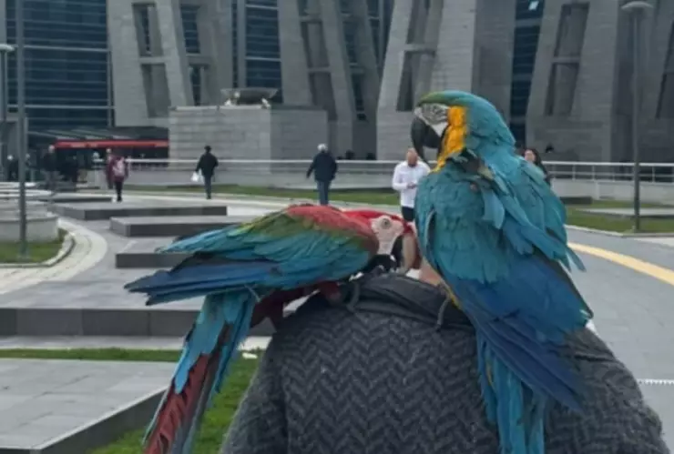 Loros revelan infidelidad