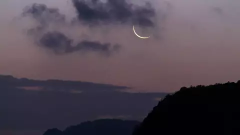 pexels-dushenkovsky-4100130 (1).jpg