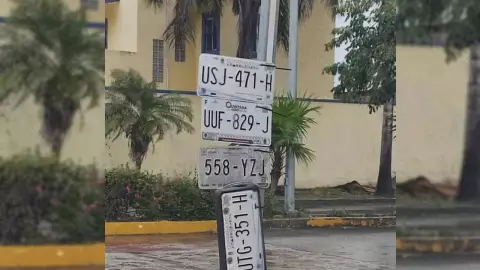 ¿Las perdiste? Vecinos encuentran placas perdidas en Cancún