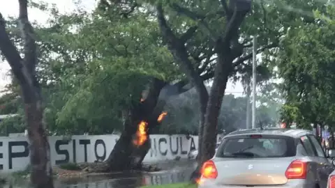 impacto rayo canek asegura