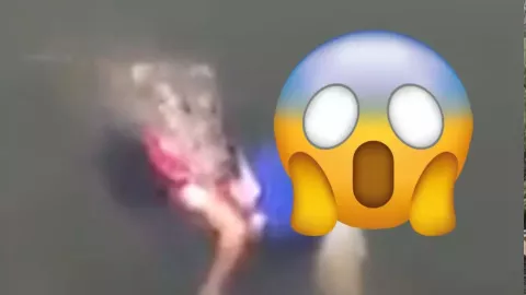 VIDEO: Captan a mujer devorada tras ser atacada por un cocodrilo mientras lavaba ropa