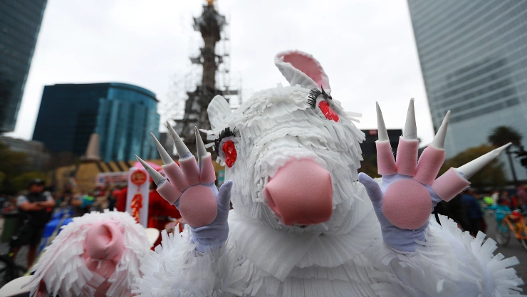 Concurso de disfraces por Año Nuevo Chino