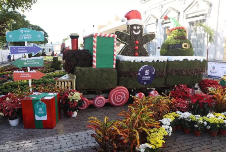 Inicia la exhibición Paseo Navideño de las Flores en Mérida