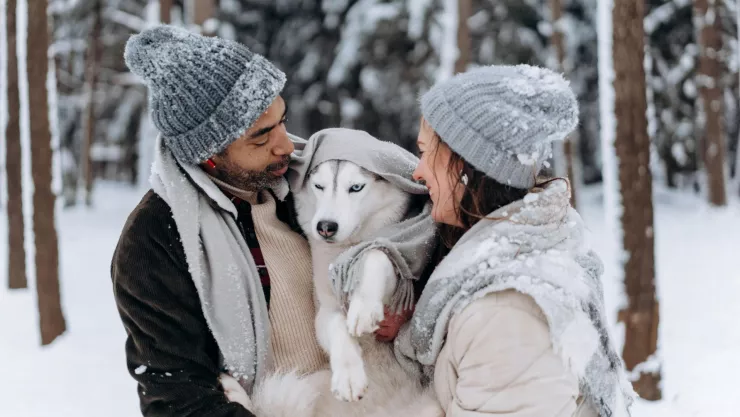 No importa si es gato o perro, esta es la temperatura mínima que tolera tu mascota en invierno