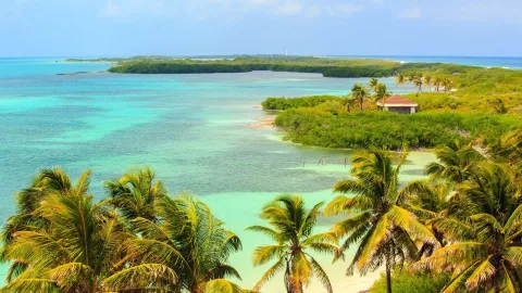 Isla Contoy en Quintana Roo deslumbra con playas vírgenes y aguas turquesa, casi sin sargazo.