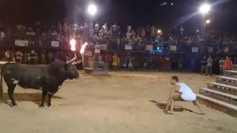 Un hombre provoca a un toro