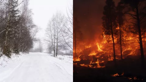 Estados Unidos atrapado entre Incendios forestales y tormentas invernales hoy 8 de enero de 2025 ¿Por qué?