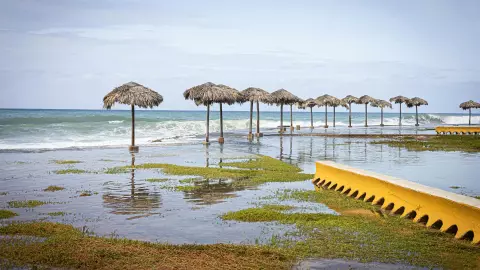 Inicia temporada de huracanes en el Atlántico; ¿cuántos se prevén y cómo se llamarán?