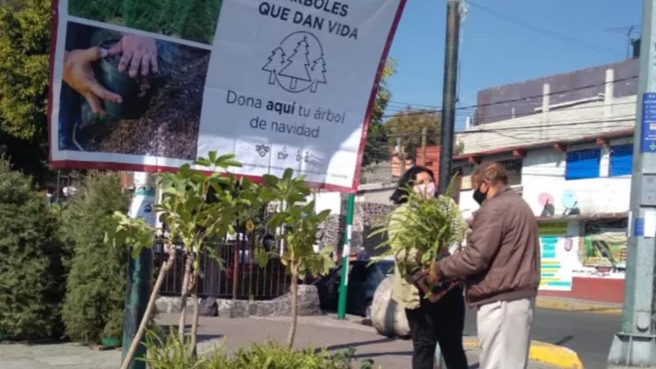 Centros de acopio en CDMX para el árbol de Navidad