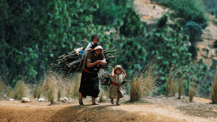 pobreza-y-trabajo-infantil-en-mexico-getty-images-archivo-1.png