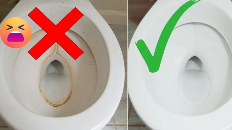 Métodos para eliminar el sarro