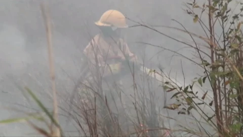 Incendios en Tamaulipas