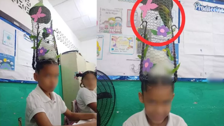 Una niña se volvió viral tras asistir a la escuela con un peinado que incluía un loro vivo