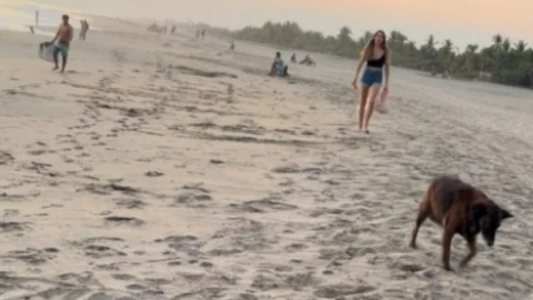 WhatsApp Image 2025-03-06 at 7.02.44 PM.jpeg