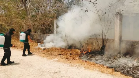 Temporada de incendios azota a Mocochá (FOTOS)