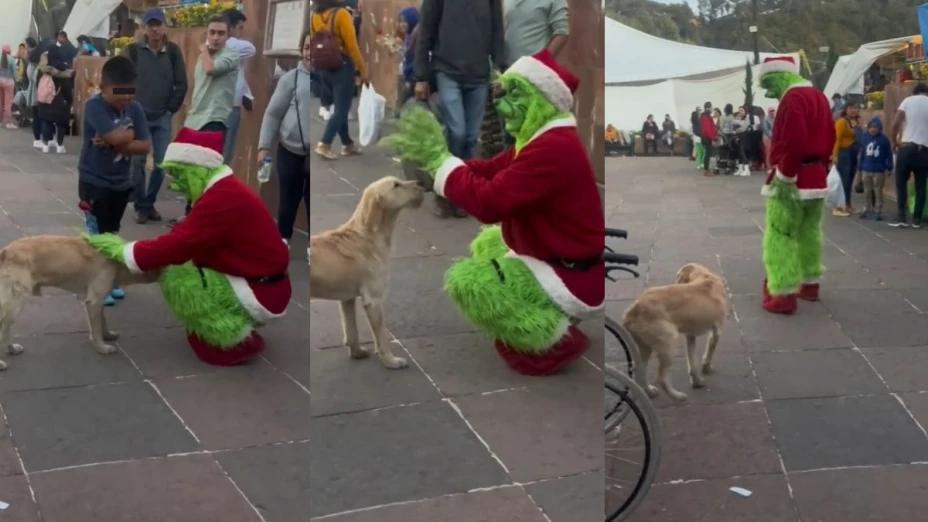 Grinch se enoja con niño.
