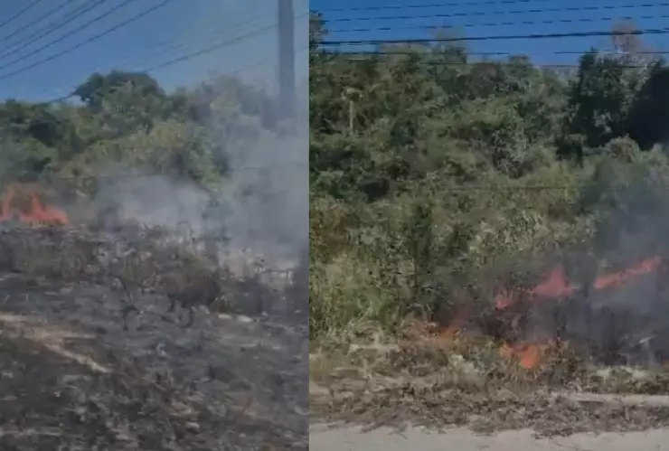 VIDEO: Reportan incendio de maleza en la carretera federal altura Puerto Morelos