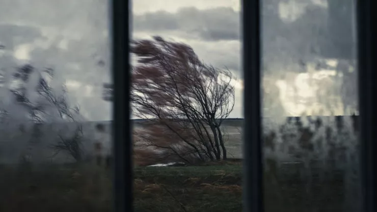 ¡Frío extremo en Guanajuato! Reportan que 6 municipios estarán a grados bajo cero durante la noche de hoy 31 de enero .jpg