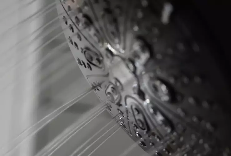 Tandeo en león regadera.png