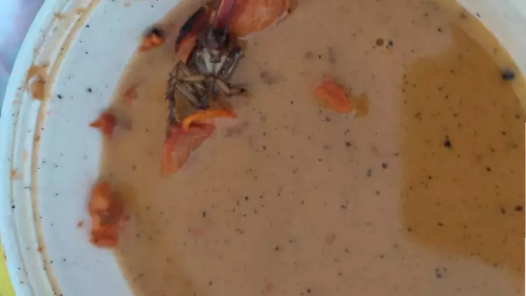 Taquería de Mérida sirvió frijoles charros con una cucaracha, afirman