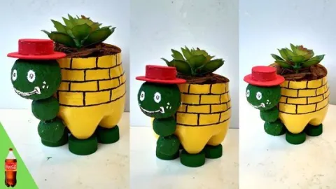 maceta tortuga.jpg