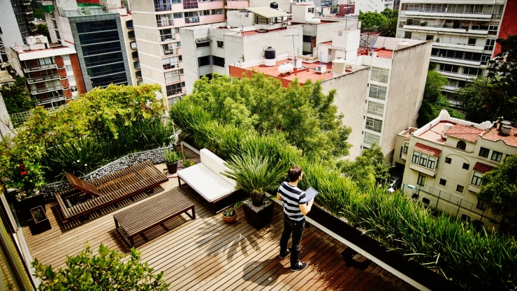 peor lugar para rentar CDMX