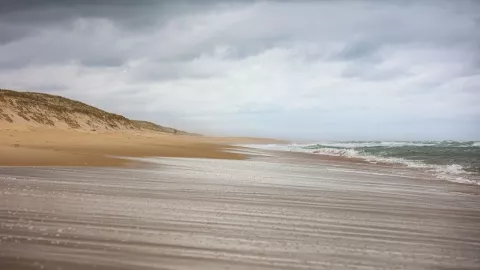 Cuando el más de aleja de la playa