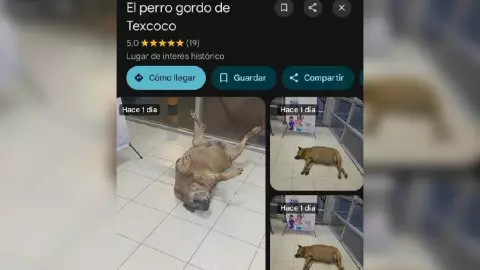 El-perro-gordo-de-Texcoco.jpg