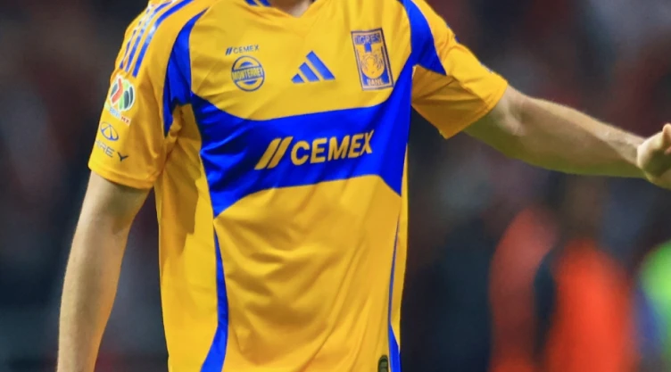 Camiseta de Tigres