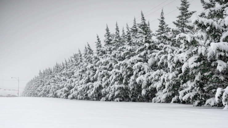 Lubbock, Texas, bajo la nieve