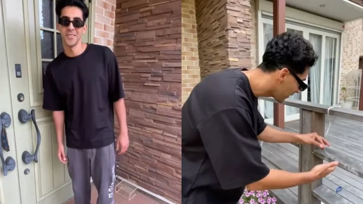 Así puedes deshacerte de los mosquitos en tu casa con esta técnica japonesa