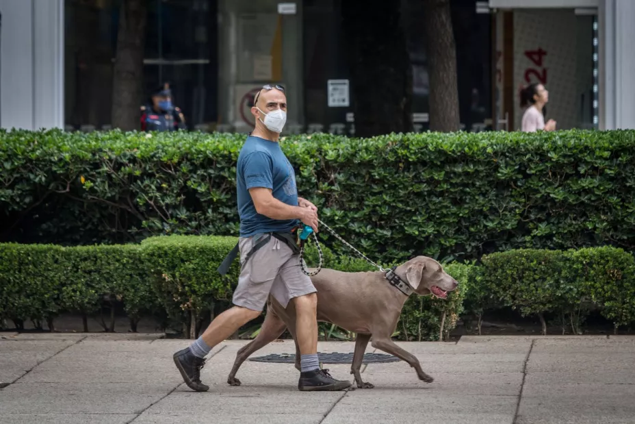 Cubrebocas cuartoscuro.jpeg