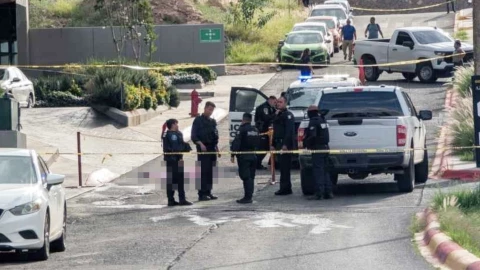 joven 17 años Chihuahua.jpg