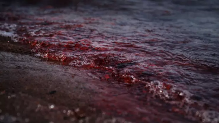 Con sabor a MUERTE: El día que miles bebieron agua contaminada por un cadáver