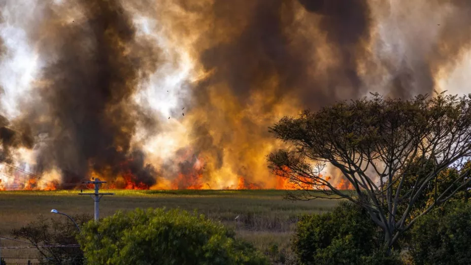 VIDEO: incendio arrasa con predios en Chiautempan, Tlaxcala hoy 14 de abril de 2025