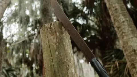 Ataca a su vecino con un machete y le amputa la mano