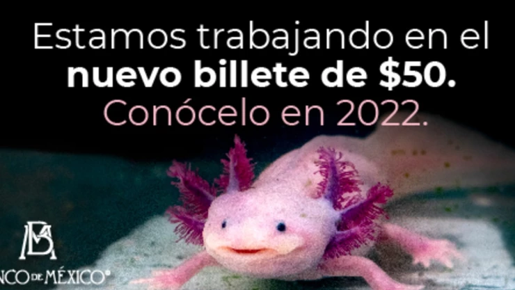 ajolote_billete.jpg